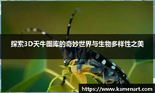 K8凯发平台